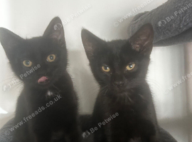 Two girls for adoption