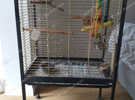 Parrot Cage