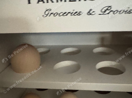 Hatching eggs