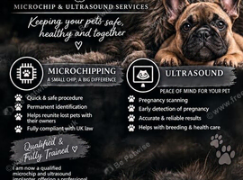 Microchipping/ultrasound