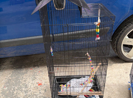 2 bird cages, 1 tall bird cage and 1 wide cage