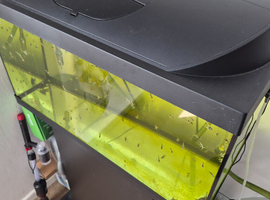 Tetra 105l tank