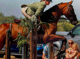 Lovely bay gelding Ror
