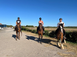 Super Safe Family Cob