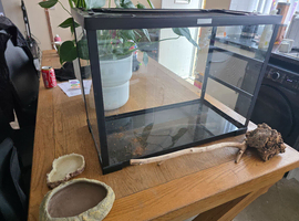 Komodo vivarium