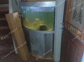 190ltre corner tank with 4 axalotis