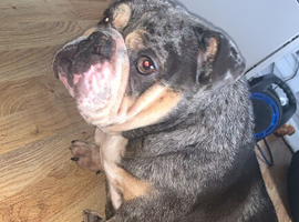 3 year old girl