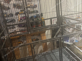 Bird cage