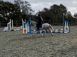 Welsh section A
