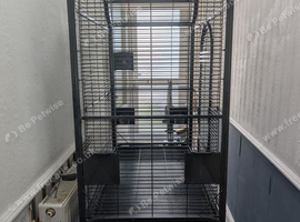 Montana Madeira III bird cage