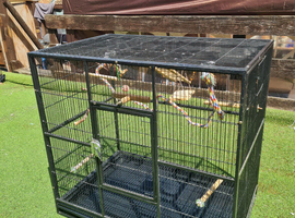 Large bird / parrot / budgie cage