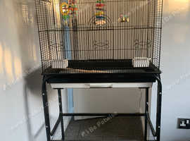 Budgie cage with stand and all accessories.