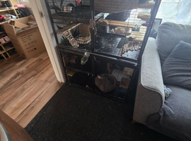 Chinchilla bonded pair full set up
