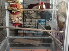 BUDGIE CAGE X LARGE ON WHEELS 107cms tall