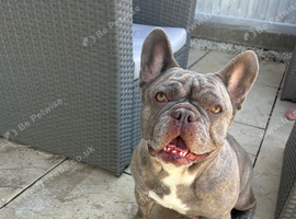Rehome