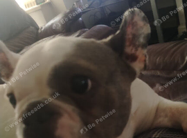 Maisieandbinkey