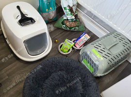 Cat Accessories Job lot