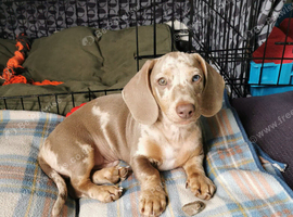 1 stunning and fun boy left