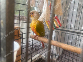 This years babies