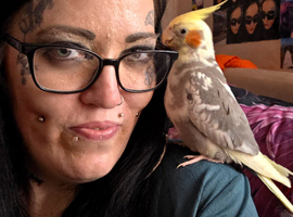 Hand Reared Tame Male & Female Cockatiel Pair For Sale,