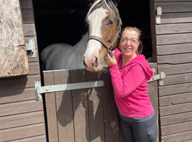 Stunning cob x warmblood