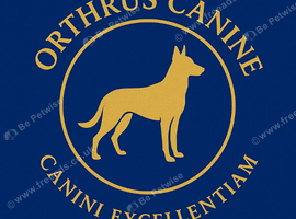Dog walking and training available