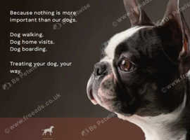 NOTORIOUS D.O.Gs Dog Walking and Pet-sitting Service