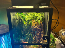 Complete setup