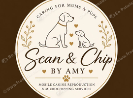 Kittens & Puppies Microchipping