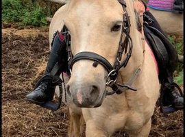 Leadrein for Full loan