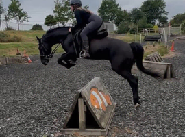 Super fun, talented and safe all rounder!