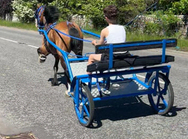 Stepping driving pony