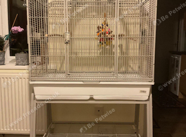 Rainforest Santa Fe parrot cage