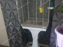 Cage on stand