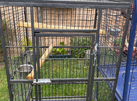 Nice parrot cage for sale