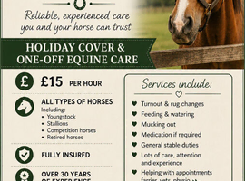 Emmas equine care