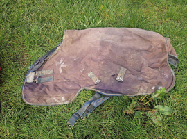4' 6" Amigo 0g turnout rug