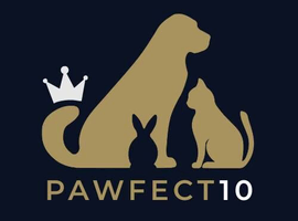 Dog Walking, Dog Training and Pet Home Visits