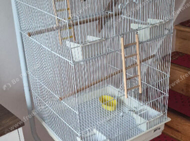 Large white bird cage