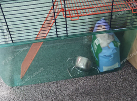 Gerbil cage and accessories