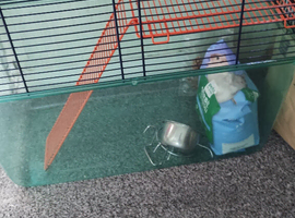 Gerbil cage and accessories