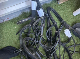 3 full horse bridles