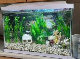 Complete Tropical Aquarium