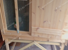 Brand new pigeon kit box with fifteen perches