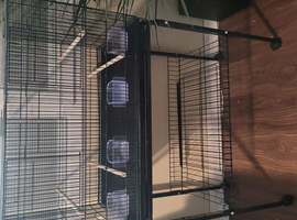 Bird flying cage ,and accessories