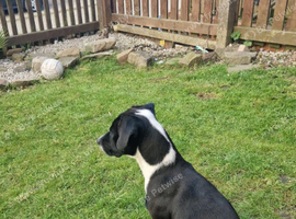 11 month old girl