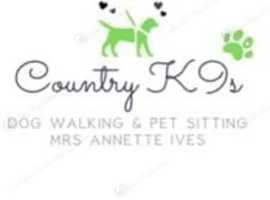 Country K9s dog walking service