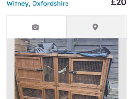 Rabbit/guinea pig hutch