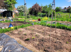 Land wanted for local community kitchen garden project
