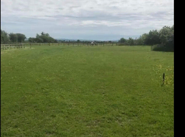 Space for up to 2 horses on private yard